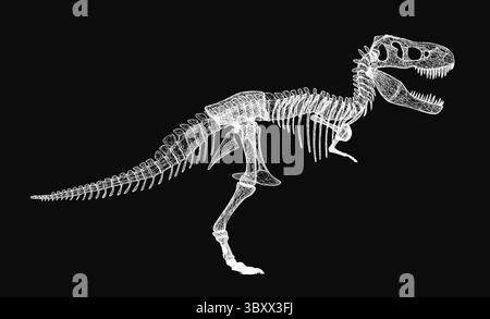 Tyrannosaurus Rex Skelett in 3D, auf schwarzem Hintergrund mit detaillierten Texturen dargestellt. Der lange Hals, die scharfen Zähne und der gekrümmte Schwanz sind hervorzuheben Stock Vektor