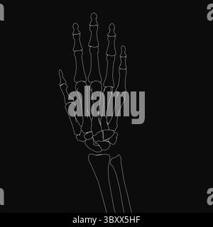 Skelett-Hand in Schwarz-weiß, realistisch mit sichtbaren Knochen versehen, auf dunklem Hintergrund für auffällige Kontraste. Die Zusammensetzung ist hoch Stock Vektor