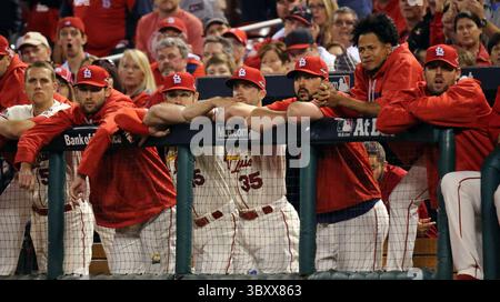 10. Oktober 2015 - St. Louis, MO, USA - die St. Louis Cardinals sehen die letzten Outs von Spiel 2 der NLDS gegen die Chicago Cubs am Samstag, 10. Oktober 2015, im Busch Stadium in St. Louis. Die Cubs haben mit 6:3 gewonnen, um die Serie zu beenden. (Foto: © J.B. Forbes/St Louis Post-Dispatch via ZUMA Press Wire) Stockfoto