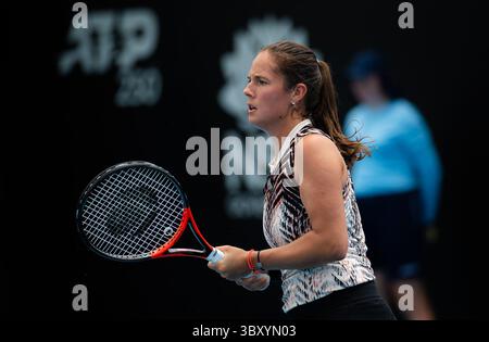 12. Januar 2022, SYDNEY, AUSTRALIEN: Daria Kasatkina aus Russland in Aktion während der zweiten Runde des Sydney Tennis Classic WTA 500 Tennisturniers 2022 gegen Elise Mertens aus Belgien (Bild: © Rob Prange/AFP7 Via ZUMA Press Wire) Stockfoto