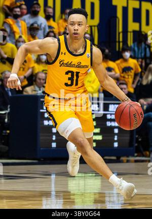 23. Januar 2022 Berkeley, CA USA, der kalifornische Wachmann Jordan Shepherd (31) fährt während des NCAA Männer Basketballspiels zwischen Arizona Wildcats und den California Golden Bears zum Basketball. Die Wildcats schlugen Kalifornien 96-71 im Hass Pavilion Berkeley Kalifornien Thurman James/CSM(Credit Image: &Copy; Thurman James/CSM via ZUMA Wire) Stockfoto