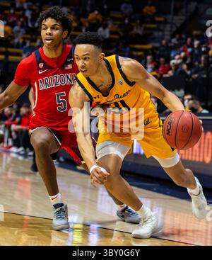 23. Januar 2022 Berkeley, CA USA, der kalifornische Garde Jordan Shepherd (31) geht während des NCAA Men's Basketball Spiels zwischen Arizona Wildcats und den California Golden Bears zum Basketball. Die Wildcats schlugen Kalifornien 96-71 im Hass Pavilion Berkeley Kalifornien Thurman James/CSM(Credit Image: &Copy; Thurman James/CSM via ZUMA Wire) Stockfoto