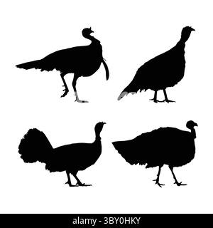 Schwarze Silhouettenabbildung der putenvögel auf weißem Hintergrund vol 02 Stock Vektor