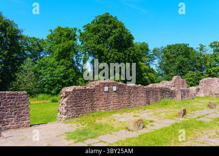 Überreste des Klosters St. Michael umgeben von Grün in Heidelberg an einem klaren Tag. Stockfoto