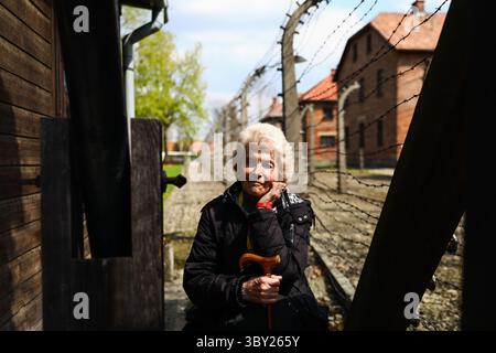 28. April 2022, Oswiecim, Polen: Ein älterer Teilnehmer wird während des „Marsches der Lebenden“ im ehemaligen Konzentrationslager Auschwitz I in der Auschwitz-Gedenkstätte in Oswiecim, Polen, gesehen. Der jährliche marsch ist Teil des Bildungsprogramms, das jüdische Studenten aus der ganzen Welt nach Polen bringt, wo sie die Überreste des Holocaust erforschen. Die Teilnehmer marschieren lautlos drei Kilometer von Auschwitz I nach Auschwitz II Birkenau, dem größten Konzentrationslager der Nazis, der während des Zweiten Weltkriegs errichtet wurde (Foto: © Beata Zawrzel/ZUMA Press Wire) Stockfoto