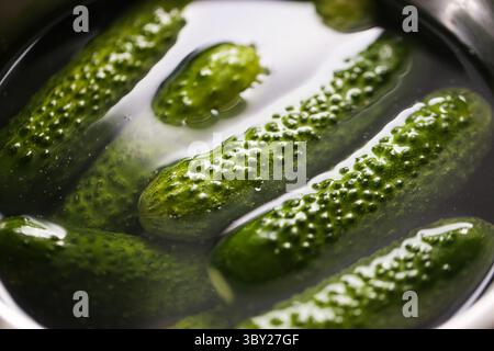 Frische Gurken in Wasser einweichen. Grünes Gemüse im Metalltopf. Gesunde Beizzutaten. Knusprige Bio-Gurken in Salzlake. Zubereitung von Gurken. Stockfoto