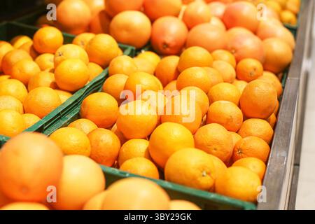 Frische Orangen in grünen Kisten. Saftige Zitrusfrüchte im Supermarkt. Ökologische Erzeugnisse in loser Schüttung. Leuchtendes Gelb-Orange. Natürliche gesunde Ernährung Stockfoto