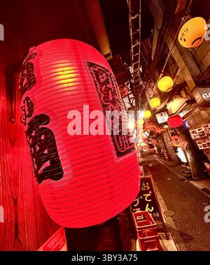 Rote Papierlaterne, Omoide Yokocho, Tokio, Japan Stockfoto
