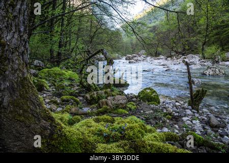 Vikos-Schlucht, Pindus-Gebirge, Epirus, Griechenland Stockfoto