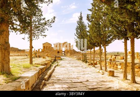 Alte Straße zum Forum mit dem Arch des Antoninus Pius und dem Tempel des Jupiter, Minerva und Juno, archäologische Stätte mit den Ruinen der Roma Stockfoto