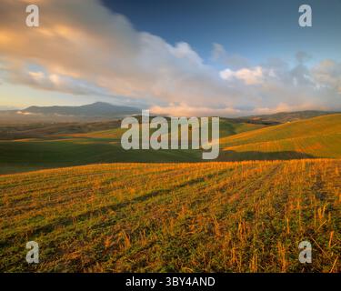 Am frühen Morgen fällt die Herbstsonne auf hügelige Ackerflächen mit niedrigen Wolken auf den Hügeln und Tälern in der Nähe von San Quirico d’Orcia in der Toskana Stockfoto