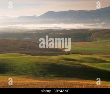 Der Sonnenschein am frühen Morgen fällt über hügelige Hügel, während sich niedrige Wolken im Tal in der Nähe von San Quirico d’Orcia in der Toskana erheben Stockfoto