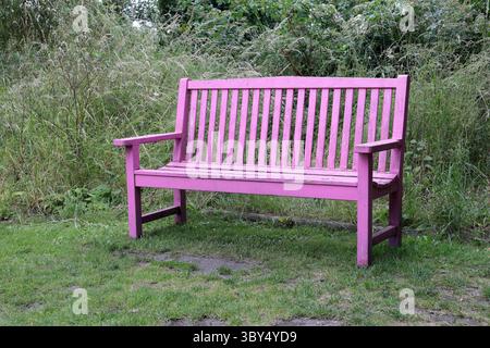 Eine rosa hölzerne Gartenbank vor einem großen Gras in einem Garten Stockfoto