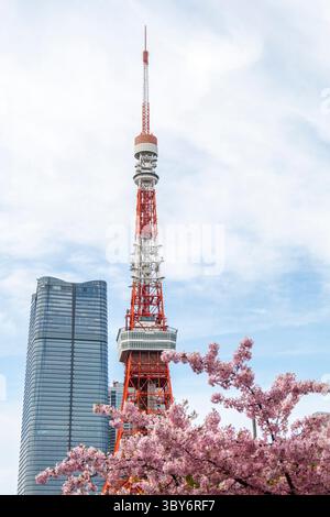 Tokyo Tower, auch bekannt als Japan Radio Tower, aus dem Prince Chiba Park mit Kirschblüten, Japan. Stockfoto