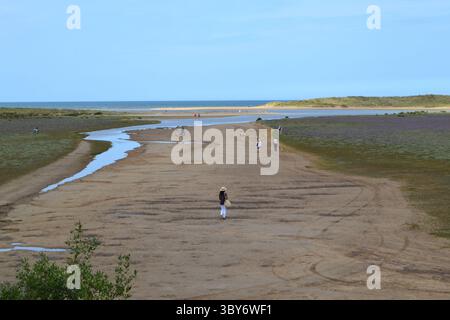 Holkham Beach im Juli, North Norfolk, wo Lavendelblüten und Menschen zu den Sanddünen am Meer laufen Stockfoto