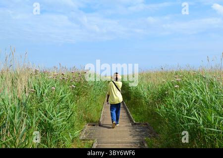 Eine Frau in Gelb mit einem Sonnenhut, der vom Fotografen weg zeigt, der auf einer Promenade durch Schilf im Vogelreservat Cley Next im Norden Norfolk spaziert Stockfoto