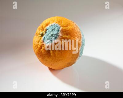 Schimmerndes Orange auf weißem Hintergrund Stockfoto