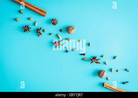 Verschiedene Wintergewürze – Zimtstangen, Sternanis, Muskatnuss, Kardamom und Nelken – schräg auf hellem türkisfarbenem Hintergrund, minimal flach Stockfoto