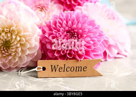 Willkommenskarte und Dahlienblumen auf grauem Marmortisch, Nahaufnahme Stockfoto