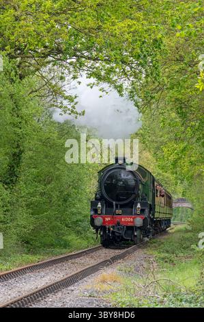 Lokomotive 61306 Mayflower auf der West Somerset Railway für die Spring Gala 2024. Hier vor Norton Fitzwarren, Somerset, England, Großbritannien Stockfoto