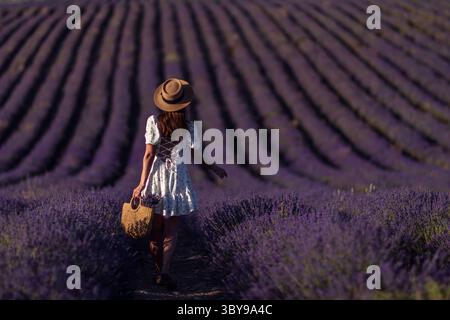 Lavendelfeld Frau Provence Tag, Mädchen geht Reihen, hält Blumen in Tragetasche, sonnig. Stockfoto