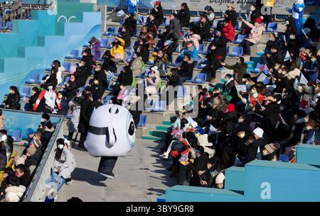 Februar 2022, Peking, Hebei, China: Big Air Shougang:...Women's Freeski Big Air Final Results - Olympic Freestyle Ski.Big Air Shougang 8 Feb - 10:00. (Bild: © Daniel A. Anderson/ZUMA Press Wire) Stockfoto