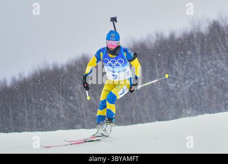 Zhangjiakou, China, Olympische Winterspiele 2022, 13. Februar 2022: Anna Magnusson aus Schweden beim Biathlon im Zhangjiakou Snow Park. Kim Price/CSM.(Credit Image: &Copy; Ulrik Pedersen/CSM via ZUMA Wire) Stockfoto