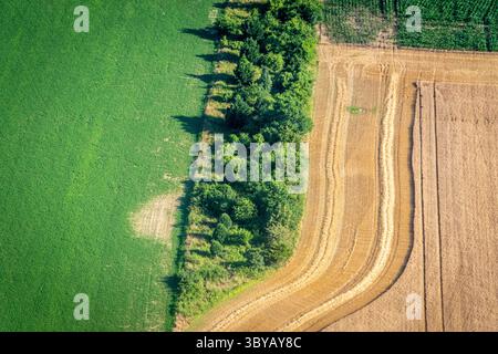 30. Juni 2021, Maryland, USA: Ackerland entlang der östlichen Küste von Maryland (Foto: © Edwin Remsberg/VW Pics via ZUMA Press Wire) Stockfoto