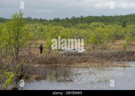 Teriberka, Russland - 13. Juni 2025: Ein Mann fischt in der Nähe eines kleinen Flusses inmitten eines wilden nördlichen Feuchtgebiets Stockfoto