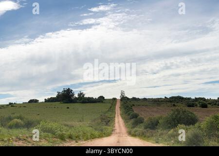 Panoramablick auf eine unbefestigte Straße in einer hügeligen Landschaft in Uruguay, umgeben von Ackerland und Natur vor einem bewölkten Himmel Stockfoto
