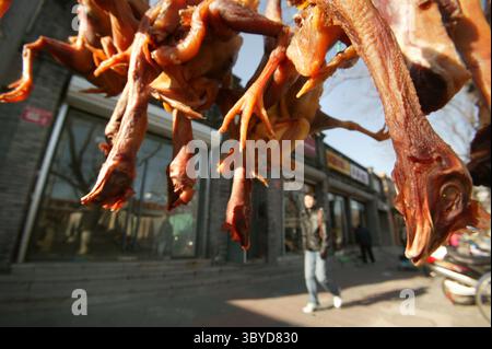 19. Januar 2009, PEKING, CHINA: Ein Chinese läuft an Hühnern vorbei, die auf einem Gehsteig vor einer Ladenfront in Peking getrocknet werden. 19. Januar 2009. Eine 27-jährige Frau aus Ostchina ist an der Vogelgrippe gestorben, was sie zur zweiten Person macht, die dieses Jahr an dem tödlichen Virus starb, sagten chinesische Behörden. (Bild: © Stephen Shaver/ZUMA Press Wire) Stockfoto