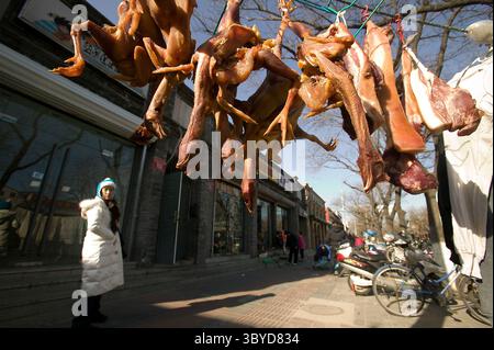 19. Januar 2009, PEKING, CHINA: Eine Chinesin geht an Hühnern vorbei, die auf einer Wäscheleine auf dem Bürgersteig vor einer Ladenfront in Peking am 19. Januar 2009 getrocknet werden. Eine 27-jährige Frau aus Ostchina ist an der Vogelgrippe gestorben, was sie zur zweiten Person macht, die dieses Jahr an dem tödlichen Virus starb, sagten chinesische Behörden. (Bild: © Stephen Shaver/ZUMA Press Wire) Stockfoto