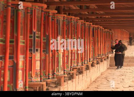 2. Februar 2012, XIAHE, PROVINZ GANSU, CHINA: Tibetische Nomaden, Pilger und Mönche wenden bunte Gebetsmühle rund um das Kloster Labrang, das größte tibetische Kloster außerhalb von Lhasa, vor dem Tibetischen Monlam Festival in Xiahe, Provinz Gansu auf dem tibetischen Plateau, 2. Februar 2012. Zehntausende Tibeter feiern das tibetische Neujahr, indem sie sich auf den Weg in diese Stadt und ihr Kloster Labrang machen, dessen Trennung von der Autonomen Region Tibetisch ein Maß an Schutz vor Han-chinesischen Versuchen bietet, ihre Kultur zu regulieren. (Kreditbild: © Stephen Shaver/ZUM Stockfoto