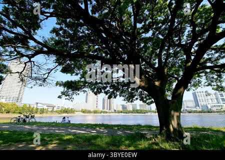 Tägliches Leben in Japan Ein Paar, das sich am Wellenbrecher im Odaiba Park mit Panoramablick auf den Odaiba Seaside Park entspannt Stockfoto