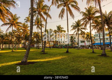 Palmen und Art déco-Architektur entlang des Ocean Drive in Miami mit Hintergrund des Atlantiks. Miami Beach. USA. Stockfoto