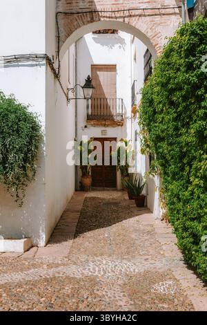 Traditionelle cordoba-Architektur mit schmalen Straßen, weißen Wänden, Pflanzen, Holztür, Balkon und Pflastersteinpflaster, ruhiger Atmosphäre Stockfoto
