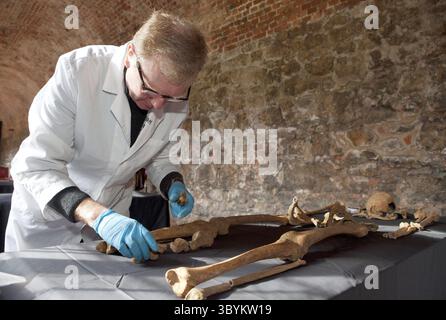 SKE106. London (Vereinigtes Königreich), 28.03.2014.- ein undatiertes Handout von British Crossrail zeigt den Osteologen Don Walker, der das Skelett eines Opfers der schwarzen Pest auf dem Charterhouse Square in Farringdon, London, auflegt. 25 Skelette wurden während der Bauarbeiten der Eisenbahnstrecke im März 2013 in diesem Gebiet entdeckt. Nach monatelangen Forschungen hat die DNA gezeigt, dass die Stätte eine Begräbnisstätte für Pestopfer war, die um 1348 errichtet wurde. Die Entdeckung bestätigt die Existenz dieser Notlage Black Death Pest Ground, die auf Hi erwähnt wurde Stockfoto