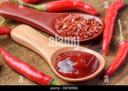 Holzlöffel aus getrockneten Chilischoten und Pfefferpaste Stockfoto