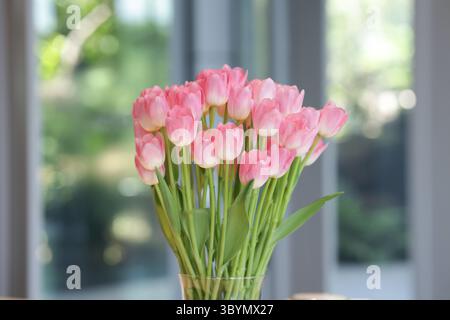 Pinkfarbene Tulpen in einer Glasvase stehen auf dem Tisch. Tulpen in einer Vase mit verschwommenem Hintergrund. Stockfoto