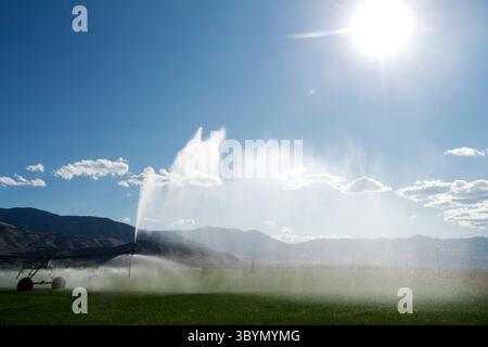 Das Center-Pivot-Bewässerungssystem im Alfalfa-Feld in Süd-Zentral-Idaho Stockfoto