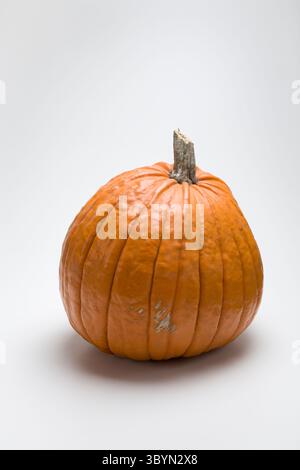 Orange Kürbis isoliert auf weiß, halloween Kürbis auf weißem Hintergrund mit Kopierraum Stockfoto