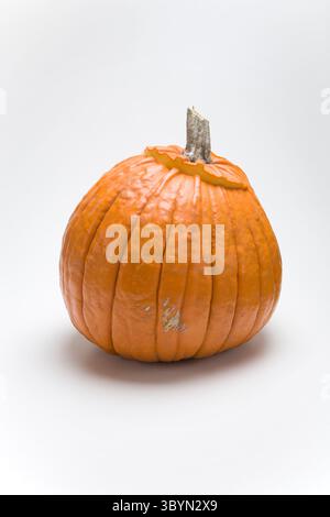 Orange Kürbis isoliert auf weiß, halloween Kürbis auf weißem Hintergrund mit Kopierraum Stockfoto
