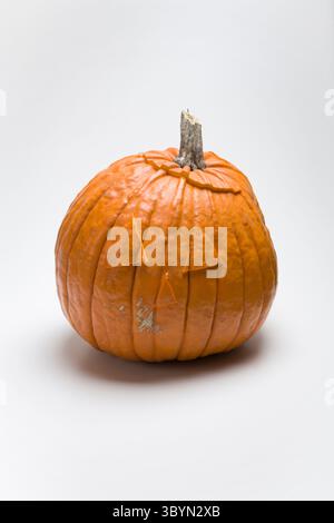 Orange Kürbis isoliert auf weiß, halloween Kürbis auf weißem Hintergrund mit Kopierraum Stockfoto