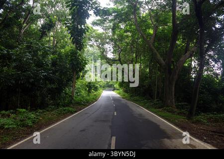Malerische Straße durch Kaptai Hügel mit grünem Wald und Kurven. Dieses Foto wurde von Chittagong, Bangladesch, aufgenommen. Stockfoto