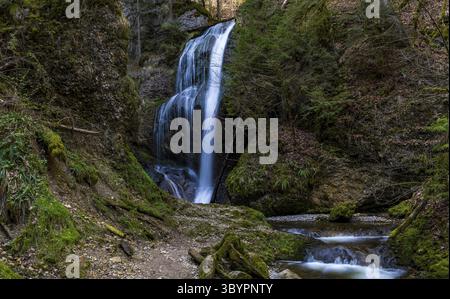 Schöne Frühlingswanderung zum Niedersonthofen Wasserfall durch den Falltobel bei Niedersonthofen im Allgau Stockfoto