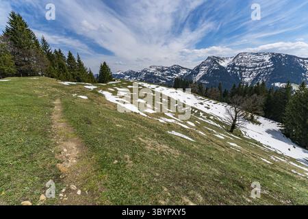 Wunderschöner Rundwanderweg zum Denneberg an der Nagelfluhkette im Allgau bei Oberstaufen Steibis Stockfoto