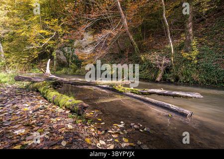 Fantastische Herbstwanderung entlang des Aachtobel zur Hohenbodman Beobachtung Turm in der Nähe des Bodensees Stockfoto