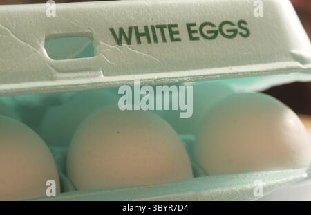 Nahaufnahme von frischen weißen Eiern aus dem Supermarkt in Blue Carton Stockfoto