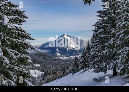 Anspruchsvolle Schneeschuhtour zum Tennenmooskopf auf der Nagelfluhkette in den Allgauer Alpen Stockfoto