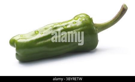 Friggitello, ein einziger toskanischen oder Griechisch milden Pfeffer, genannt Peperoncino in den USA (Capsicum Annuum). Schneidepfad, Schatten getrennt Stockfoto